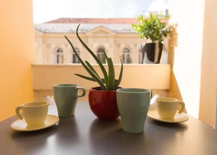 N A P Experience * Neapol